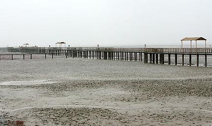 生化危机之父三上真司：暂时不想再做生存恐怖游戏了